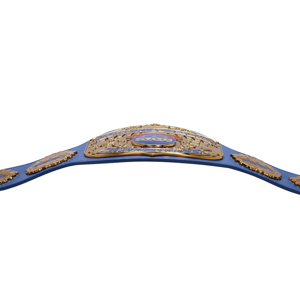 AAA World Mixed Tag Team Championship Replica Title Belt