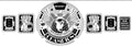 BeyondEV "New Energy Vehicle" Championship Belt – Custom Gold & Chrome Edition 6mm