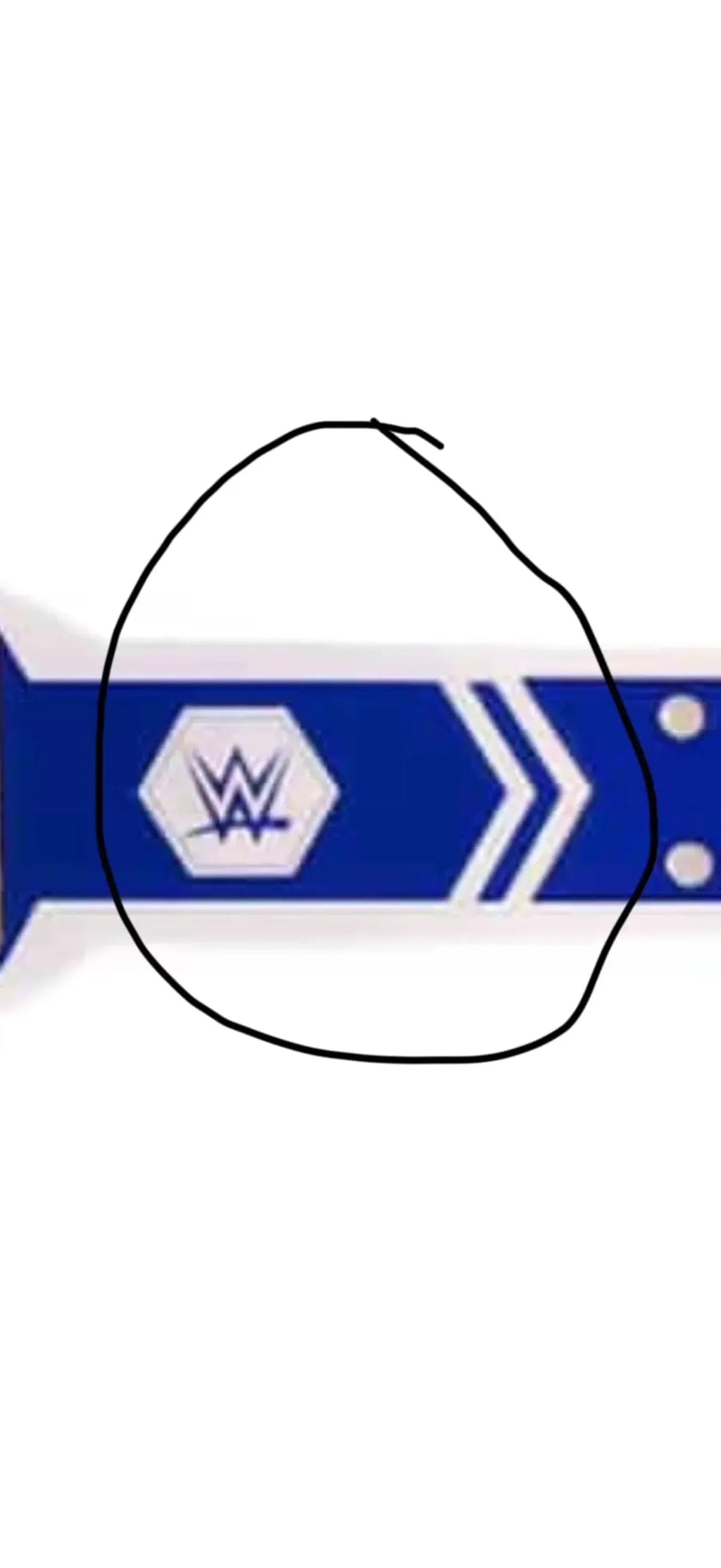 Nrl Sydney rooster belt 4mm with blue strap
