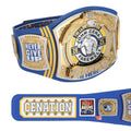 John Cena WWE Autographed Farewell Tour 2025 St. Louis Replica Championship Belt