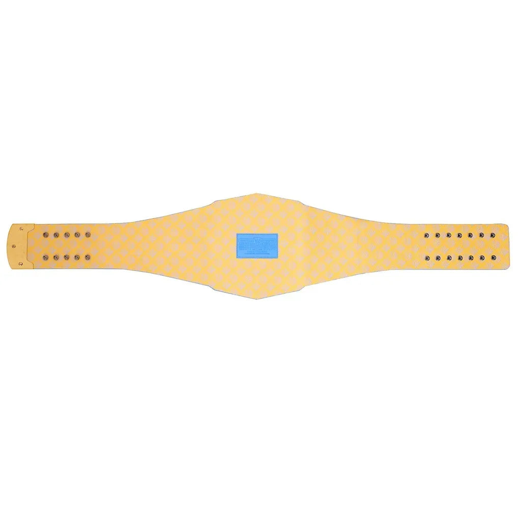Los Angeles Chargers WWE Legacy Championship Replica Belt