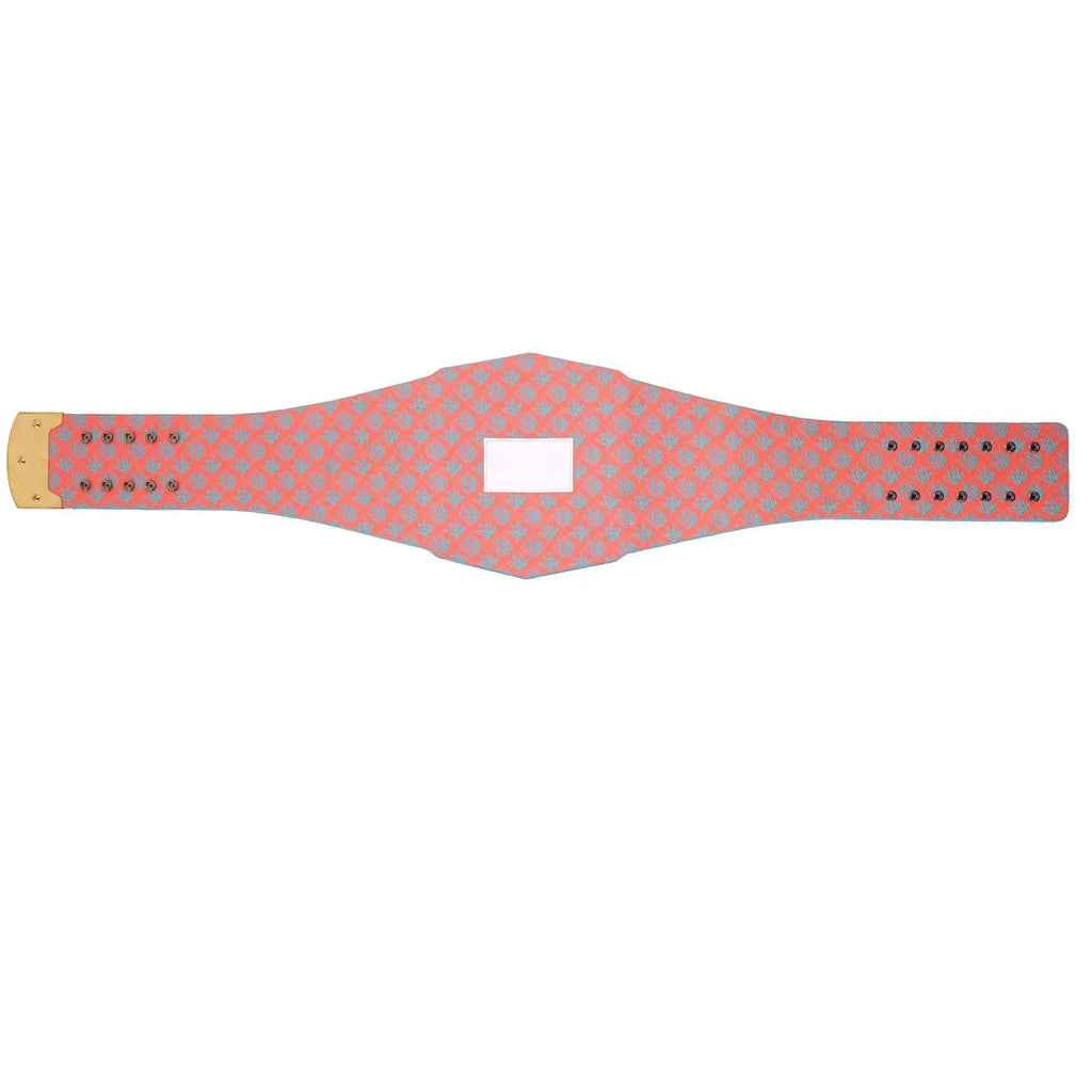 Miami Dolphins WWE Legacy Championship Replica Belt