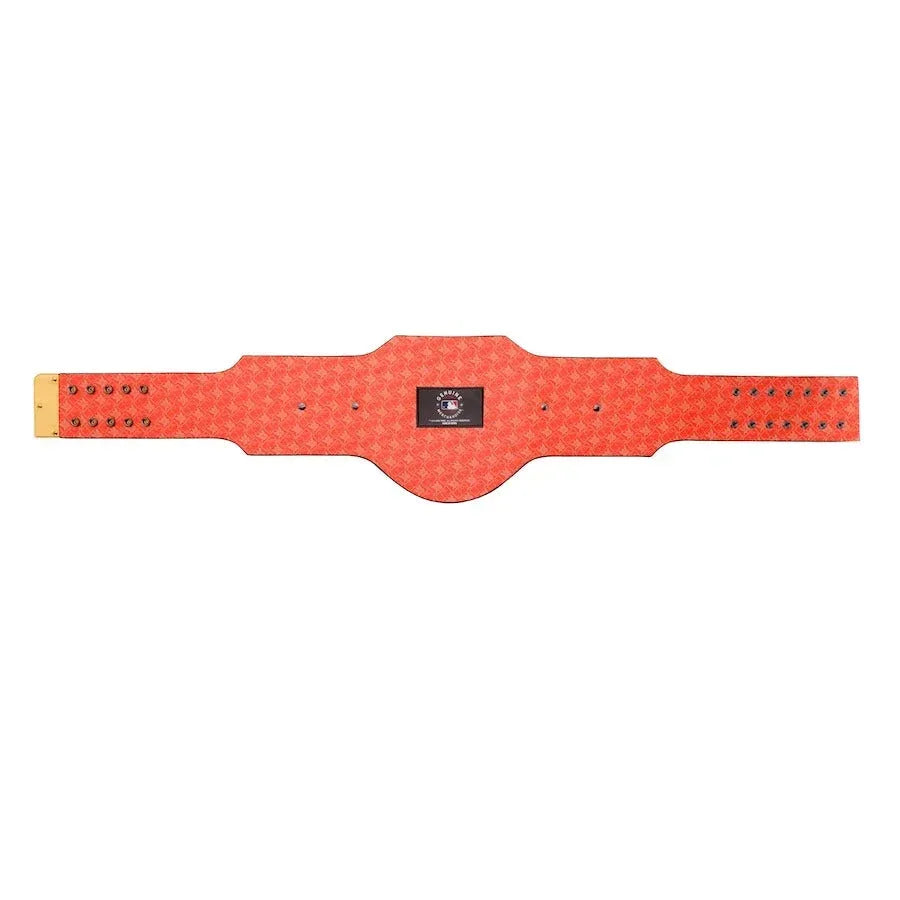 San Francisco Giants MLB Championship Belt