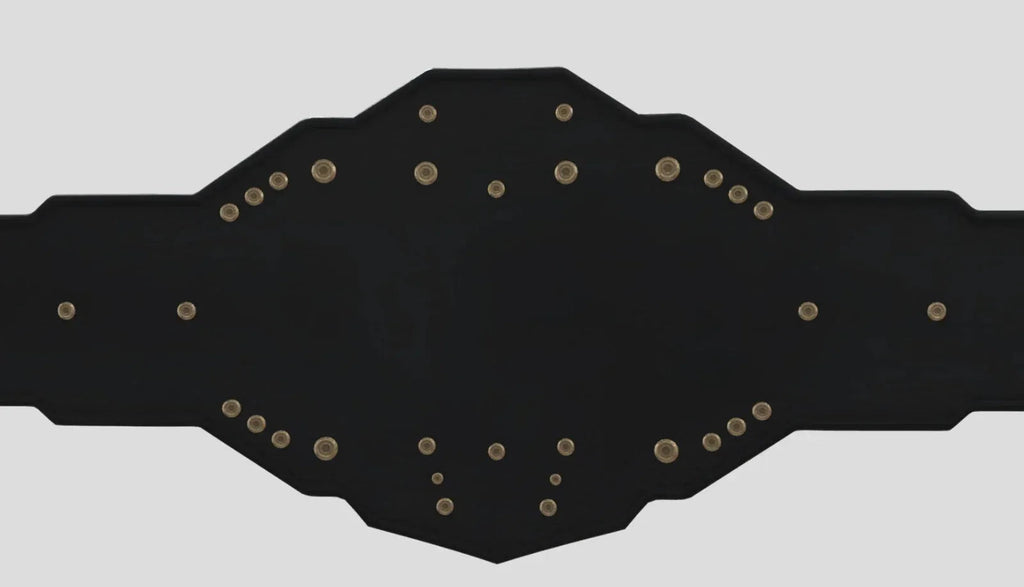 WWE NXT Heavyweight Championship Title Belt