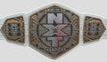 WWE Women’s NXT Tag Team Championship Belt