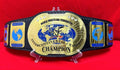 WWE Oval Intercontinental Championship Replica Belt