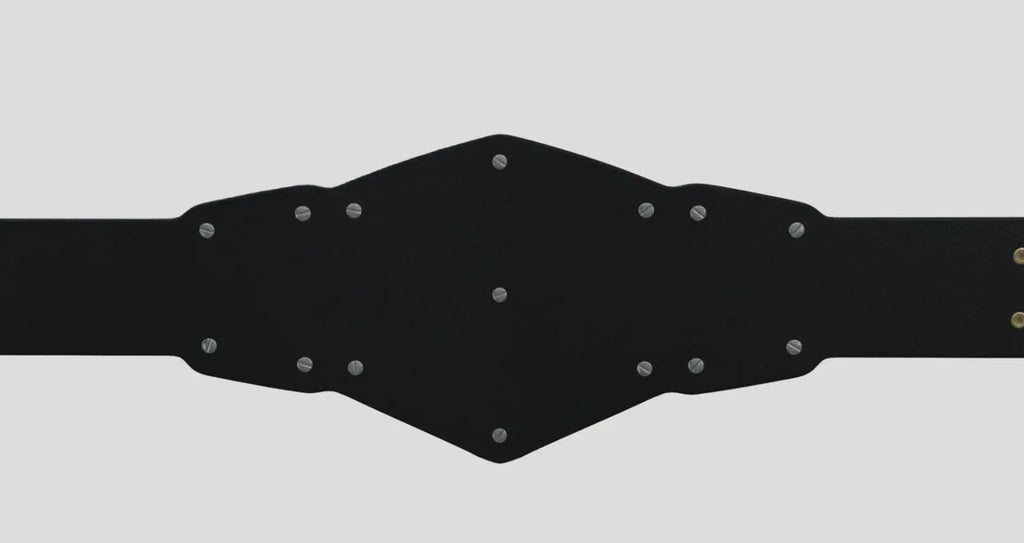 NXT Tag Team Championship Replica Title Belt